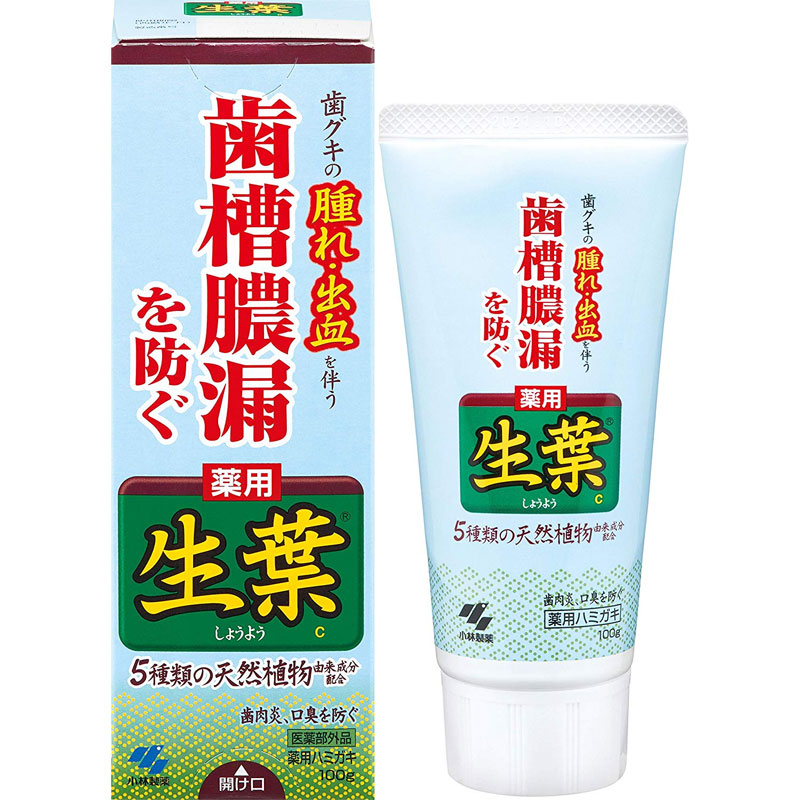 [생엽] 생엽 약용 치약 100g