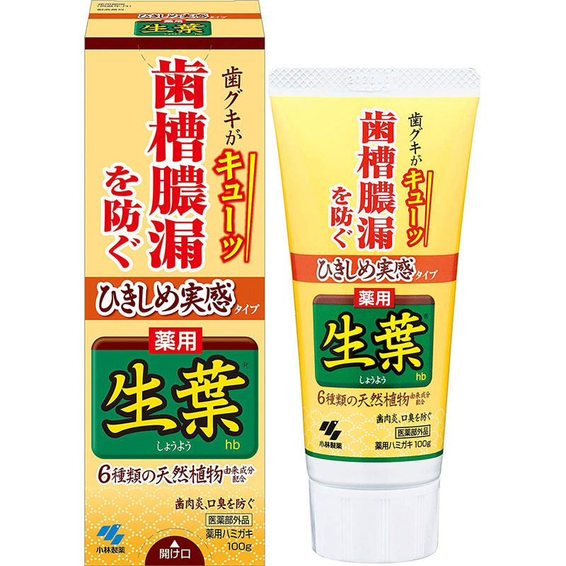 [생엽] 생엽 약용 치약 잇몸 조여주는 타입 100g