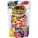 [고바야시] 브레스케어100정 캔디 리필