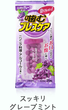 [고바야시] 브레스케어 25정 캔디