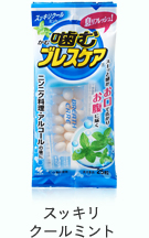 [고바야시] 브레스케어 25정 캔디