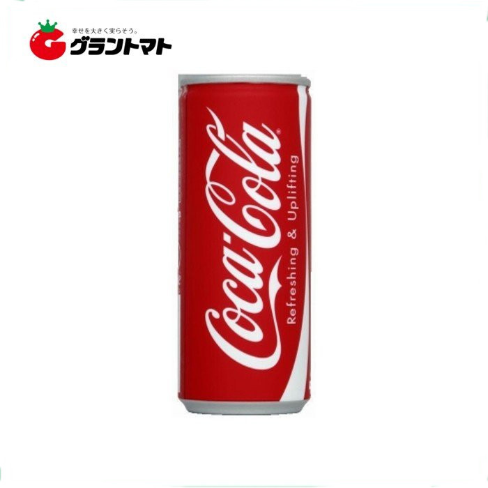 코카콜라 캔 250ml 1캔