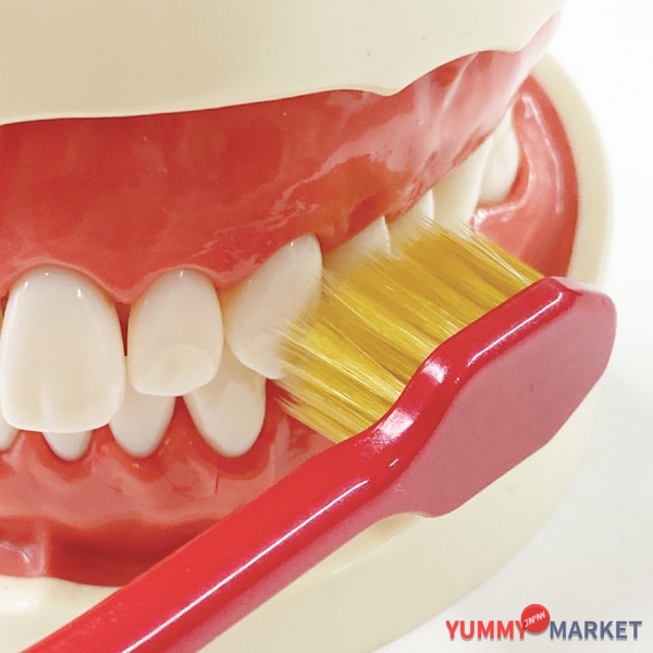 Ebis ebisu 프리미엄 케어 칫솔, 6 줄 소형, 부드러운 B-3600S 1 피스