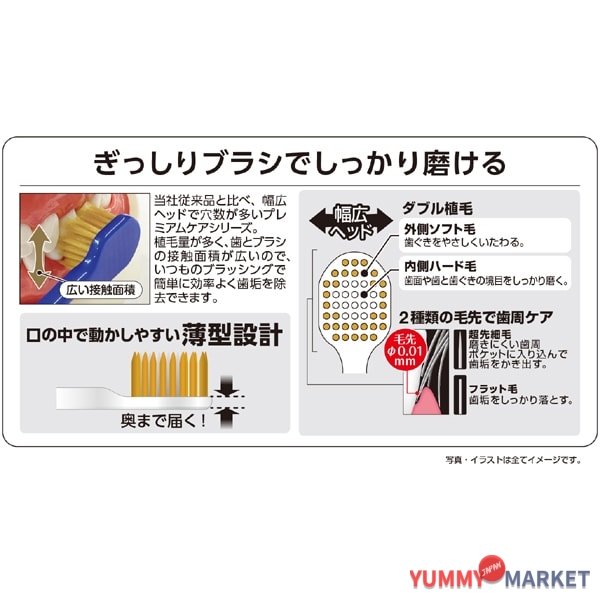 ebisu 프리미엄 케어 칫솔, 7 행 일반, 일반 B-3603m 1 조각