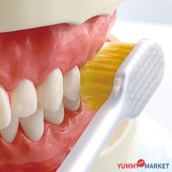 ebisu 프리미엄 케어 칫솔, 6 줄 정기 회사 B-3601H 1 피스