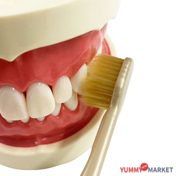 Ebisu 프리미엄 케어 8 행 일반, 특히 소프트 B-3621SS 1 피스