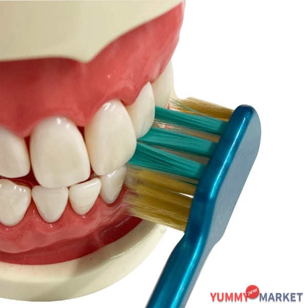 Ebisu 프리미엄 케어 치주 포켓 플러스 소프트 B-3623S 1 조각