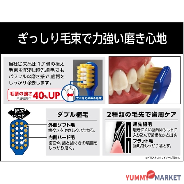 EBISU 프리미엄 케어 강력한 연마/일반 회사 B-3608H 1 조각