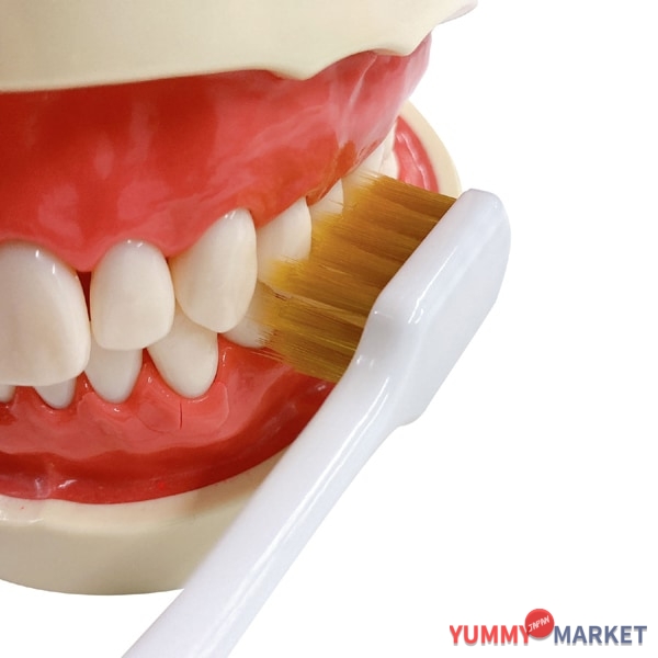 EBISU 프리미엄 케어 강력한 연마/일반 회사 B-3608H 1 조각