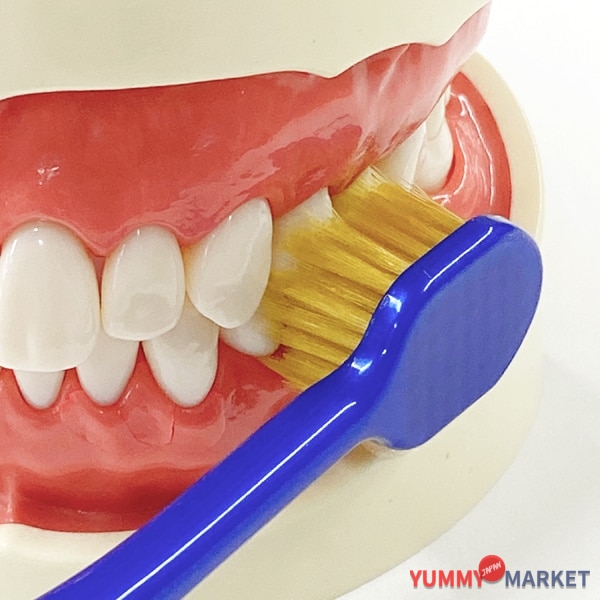 ebisu 프리미엄 케어 칫솔 7 행 일반 소프트 B-3603S 1 조각