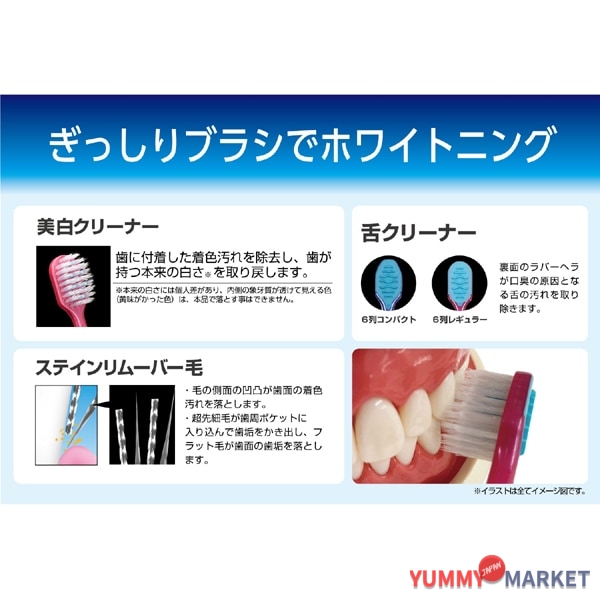 ebisu 프리미엄 케어 치아 미백, 6 줄, 일반 B-3607m 1 조각