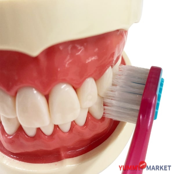 ebisu 프리미엄 케어 치아 미백, 6 줄, 일반 B-3607m 1 조각