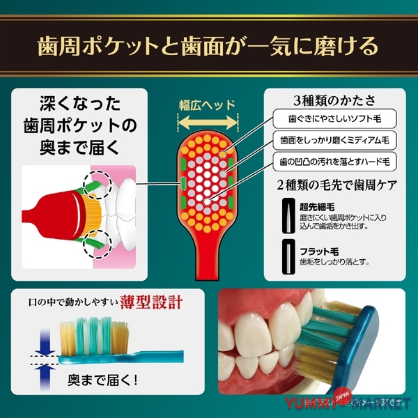Ebisu 프리미엄 케어 치주 포켓 플러스 일반 B-3623M 1 피스