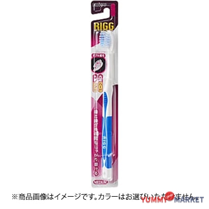 Ebis ebisu rig 칫솔 소프트 1 피스 [칫솔]